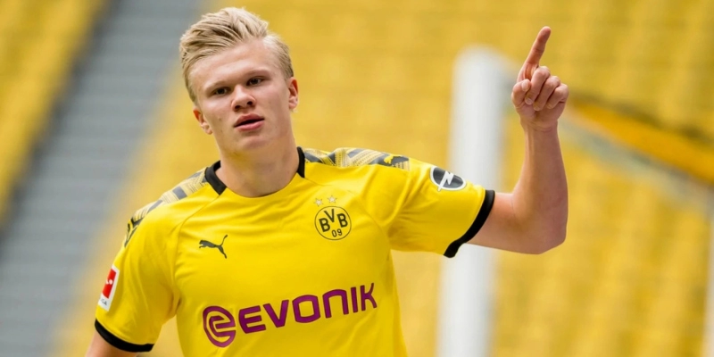 Giải Thưởng Của Erling Haaland